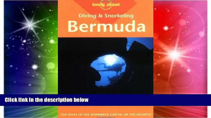 Big Deals  Diving   Snorkeling Guide to Bermuda (Lonely Planet Diving and Snorkeling Bermuda)