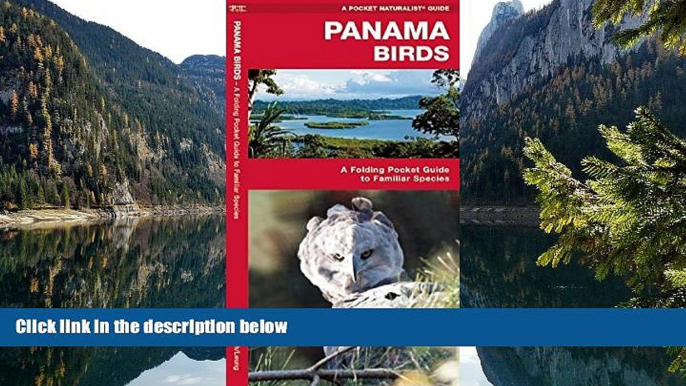 Big Deals  Panama Birds (Pocket Naturalist Guide)  Full Read Most Wanted