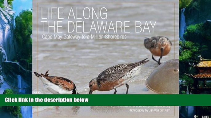 Big Deals  Life Along the Delaware Bay: Cape May, Gateway to a Million Shorebirds  Full Read Most