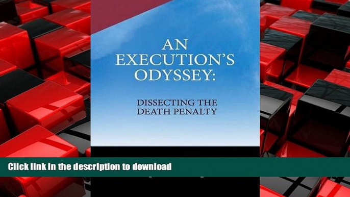 READ ONLINE An Execution s Odyssey READ EBOOK