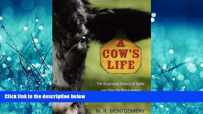 Pdf Online A Cow s Life: The Surprising History of Cattle, and How the Black Angus Came to Be Home