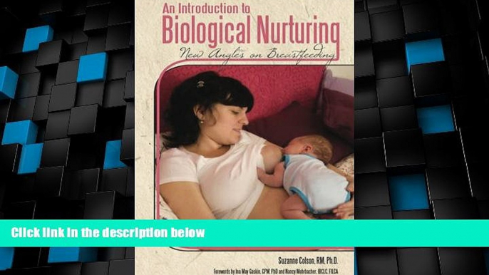 Big Deals  An Introduction to Biological Nurturing  Best Seller Books Most Wanted