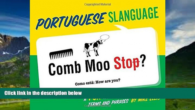 Big Deals  Portuguese Slanguage: A Fun Visual Guide to Portuguese Terms and Phrases (Portuguese