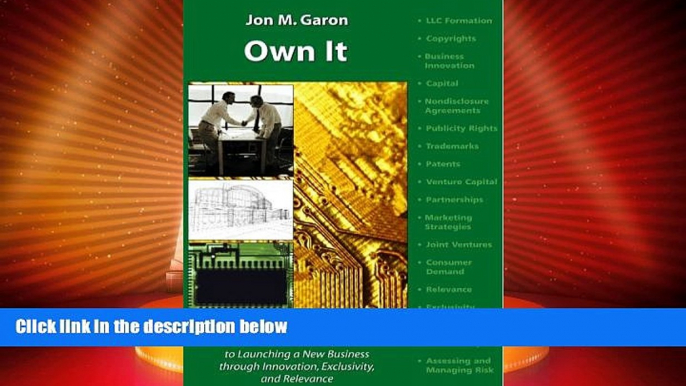 Must Have PDF  Own It: The Law and Business Guide to Launching a New Business Through Innovation,