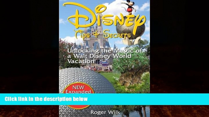 Big Deals  Disney Tips   Secrets: Unlocking the Magic of a Walt Disney World Vacation  Best Seller