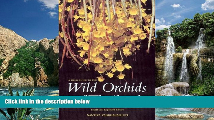 Big Deals  A Field Guide to the Wild Orchids of Thailand: Fourth and Expanded Edition  Full Read