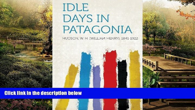 Big Deals  Idle Days in Patagonia  Full Read Best Seller