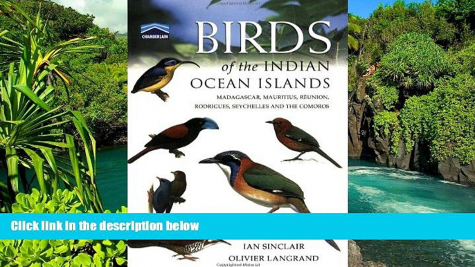 Big Deals  Birds of the Indian Ocean Islands: Madagascar, Mauritius, RÃ©union, Rodrigues,