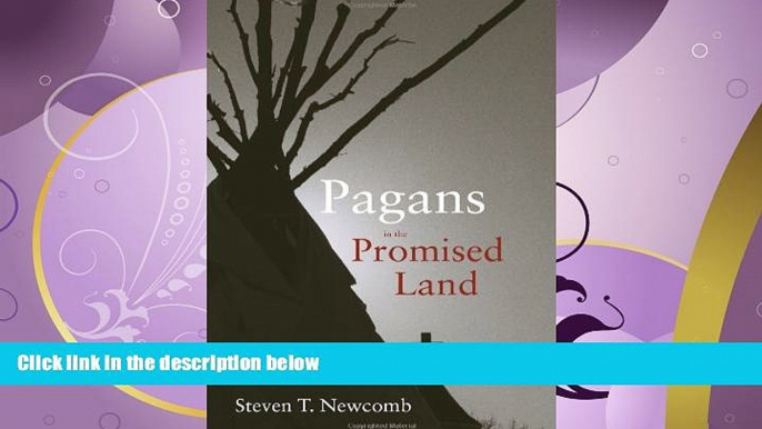 FULL ONLINE  Pagans in the Promised Land: Decoding the Doctrine of Christian Discovery