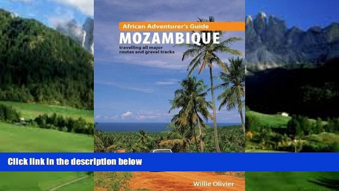 Big Deals  African Adventurer s Guide to Mozambique: Travelling All Major Routes and Gravel Tracks