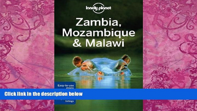 Big Deals  Lonely Planet Zambia, Mozambique   Malawi (Travel Guide) by Lonely Planet (2013-06-14)