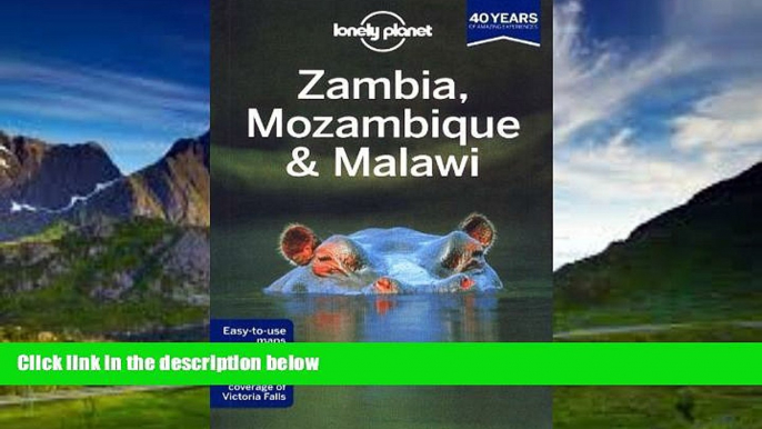 Big Deals  Lonely Planet Zambia, Mozambique   Malawi (Travel Guide) 2nd edition by Lonely Planet,