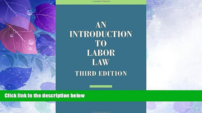 Big Deals  An Introduction to Labor Law  Best Seller Books Most Wanted