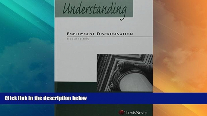 Big Deals  Understanding Employment Discrimination Law  Best Seller Books Best Seller