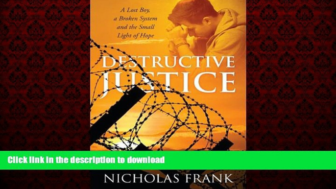 READ PDF Destructive Justice: A Lost Boy, a Broken System and the Small Light of Hope READ PDF