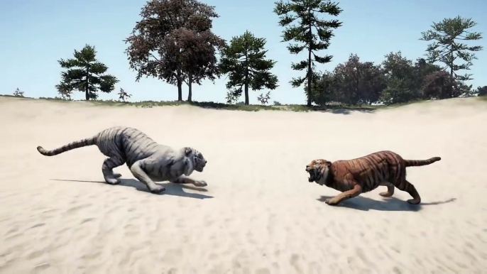 Far cry 4 Animal Fights PS4