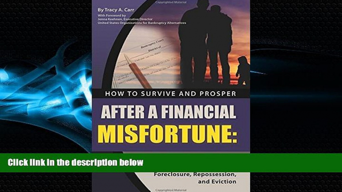 READ book  How to Survive and Prosper After  a Financial  Misfortune: A Complete Guide to Your