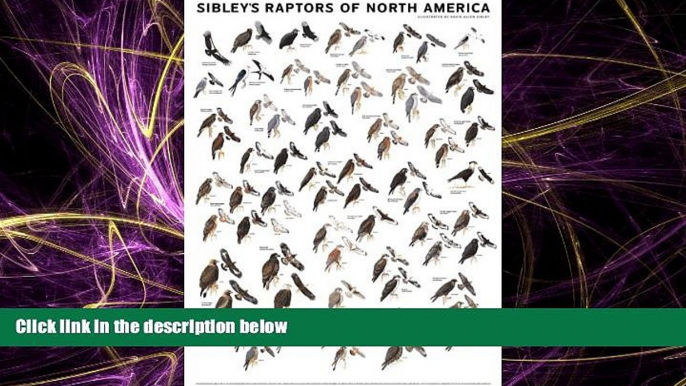 For you Sibley s Raptors of North America