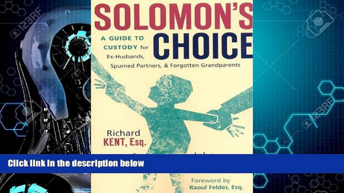 different   Solomon s Choice: A Guide to Custody for Ex-Husbands, Spurned Partners, and Forgotten