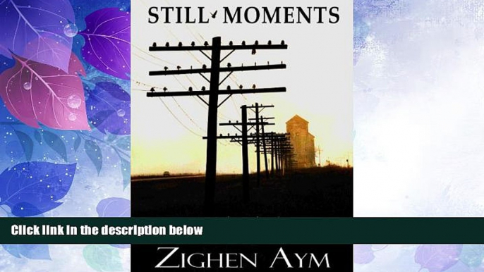 Must Have PDF  Still Moments: A Story About Faded Dreams and Forbidden Pictures  Full Read Most