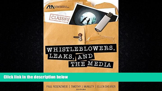 READ book  Whistleblowers, Leaks, and the Media: The First Amendment and National Security READ