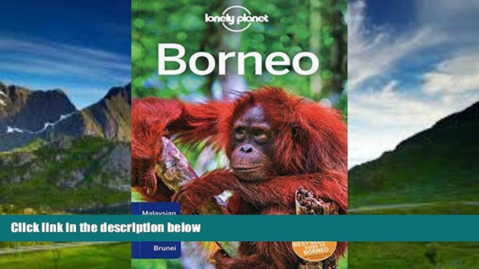 Big Deals  Lonely Planet Borneo (Travel Guide)  Best Seller Books Best Seller