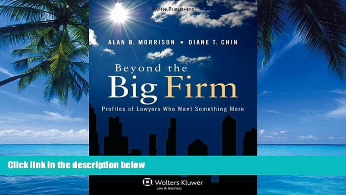 Big Deals  Beyond the Big Firm: Profiles of Lawyers Who Want Something More (Introduction to Law