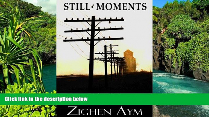 Full [PDF]  Still Moments: A Story About Faded Dreams and Forbidden Pictures  READ Ebook Full Ebook