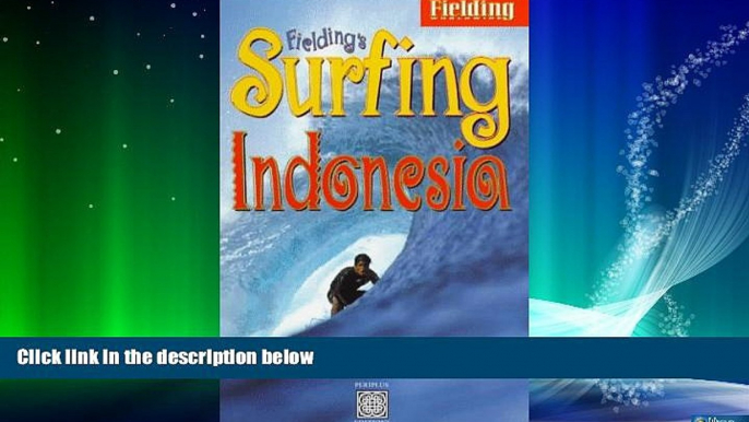 Online eBook Fielding s Surfing Indonesia : Fielding s In-Depth Guide to Boarding on the World s