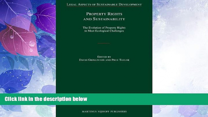 Big Deals  Property Rights and Sustainability (Legal Aspects of Sustainable Development)  Full