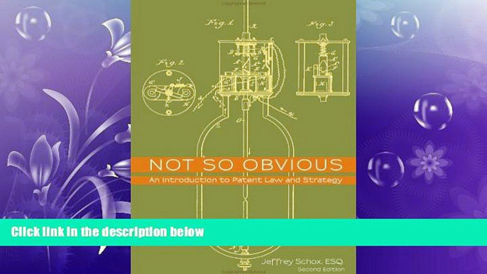 Free [PDF] Downlaod  Not So Obvious: An Introduction to Patent Law and Strategy - Second Edition