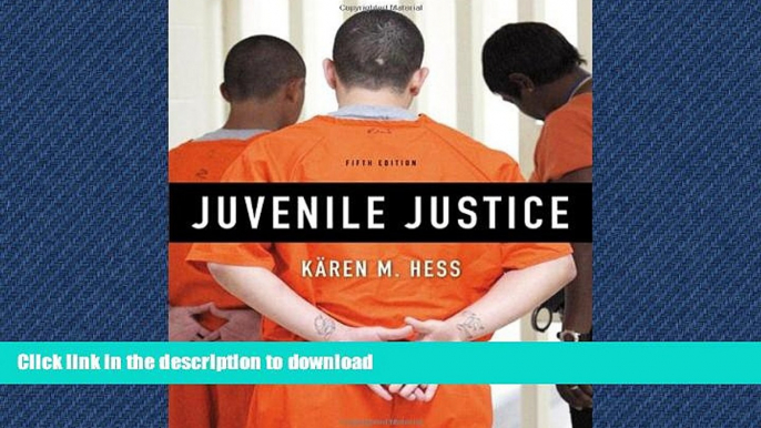 EBOOK ONLINE Juvenile Justice READ PDF FILE ONLINE