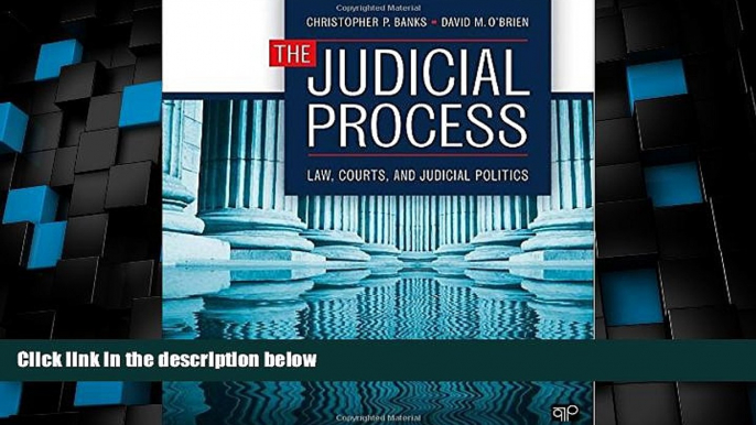 Big Deals  The Judicial Process: Law, Courts, and Judicial Politics  Best Seller Books Most Wanted