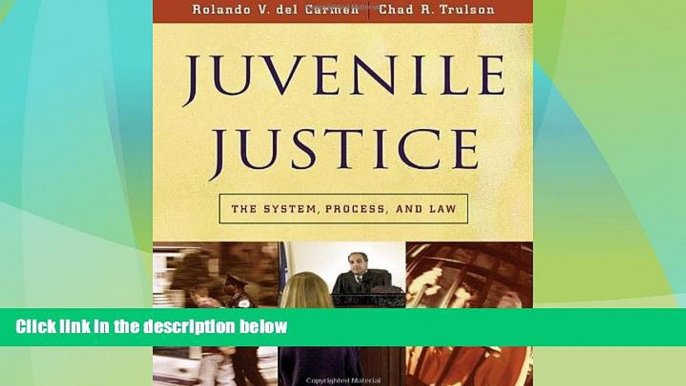 Big Deals  Juvenile Justice: The System, Process and Law (Available Titles CengageNOW)  Full Read