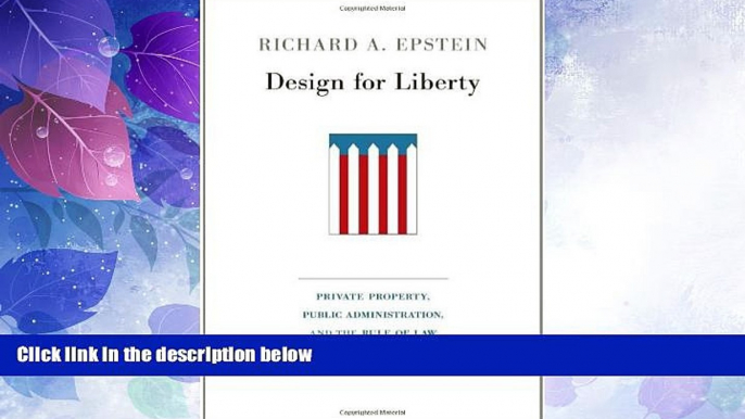 Big Deals  Design for Liberty: Private Property, Public Administration, and the Rule of Law  Full