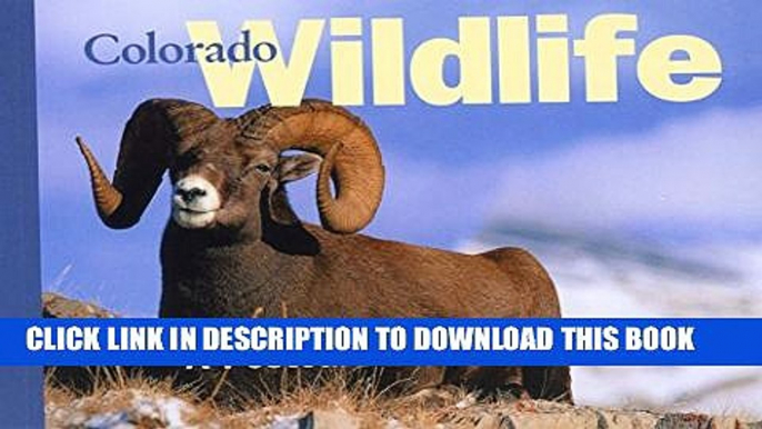 [PDF] Colorado Wildlife: A Postcard Book (Postcard Books) Popular Online