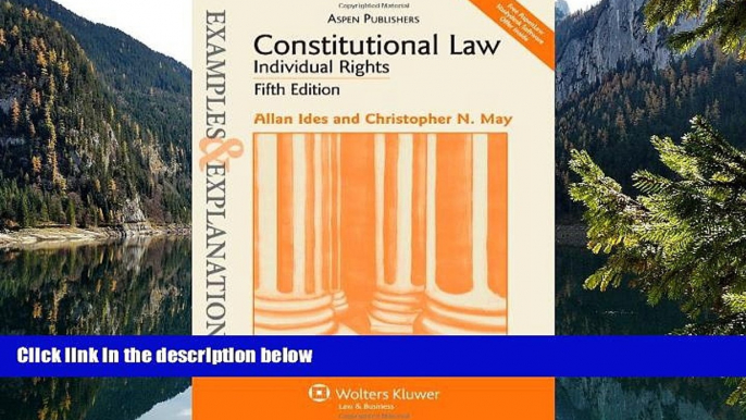 Big Deals  Constitutional Law - Individual Rights: Examples   Explanations, Fifth Edition  Best