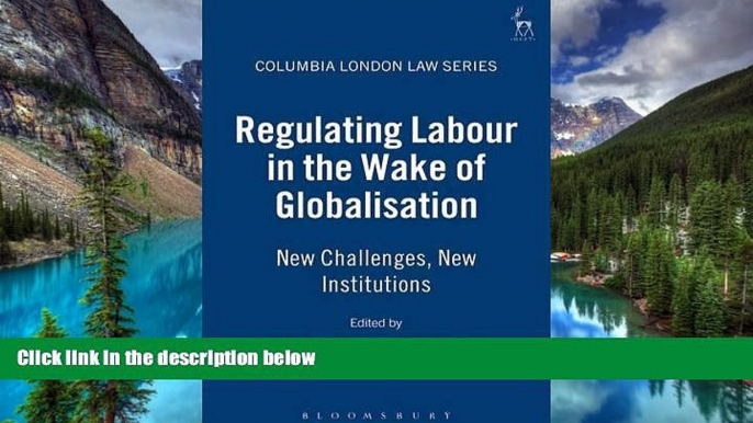 READ FULL  Regulating Labour in the Wake of Globalisation: New Challenges, New Institutions