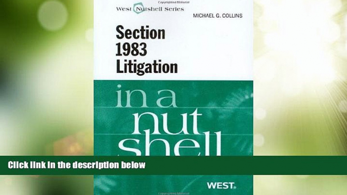 Big Deals  Section 1983 Litigation in a Nutshell, 4th (In a Nutshell (West Publishing))