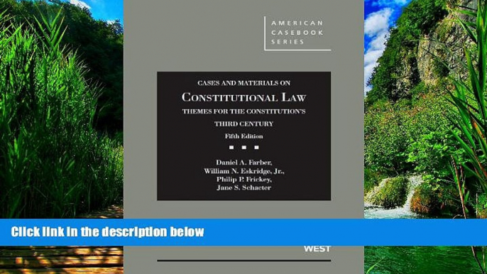 Big Deals  Cases and Materials on Constitutional Law, Themes for the Constitution s Third Century