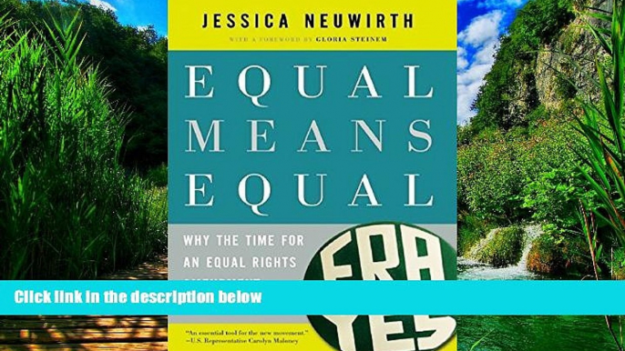 Big Deals  Equal Means Equal: Why the Time for an Equal Rights Amendment Is Now  Best Seller Books