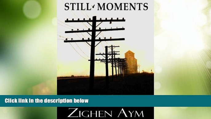 Big Deals  Still Moments: A Story About Faded Dreams and Forbidden Pictures  Full Read Best Seller