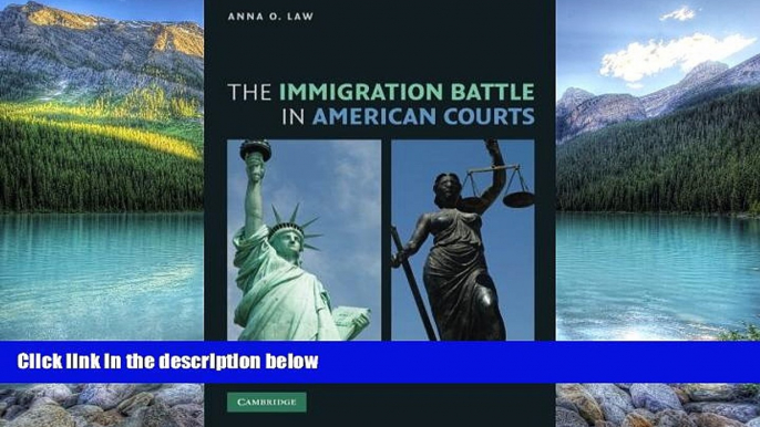 Books to Read  The Immigration Battle in American Courts  Best Seller Books Most Wanted