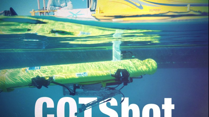 COTSBot Targets Crown-of-Thorns Starfish