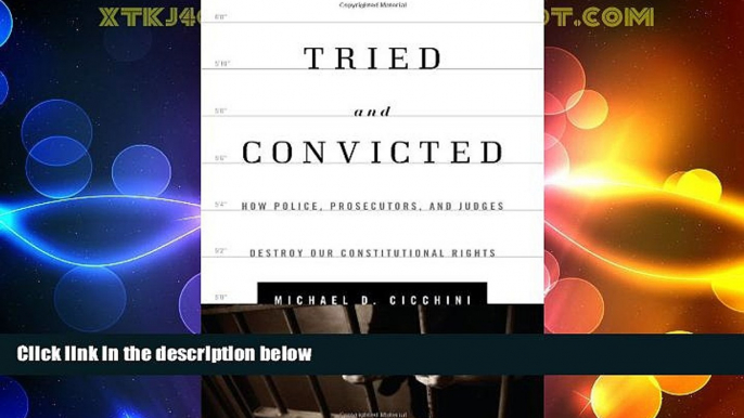 Big Deals  Tried and Convicted: How Police, Prosecutors, and Judges Destroy Our Constitutional