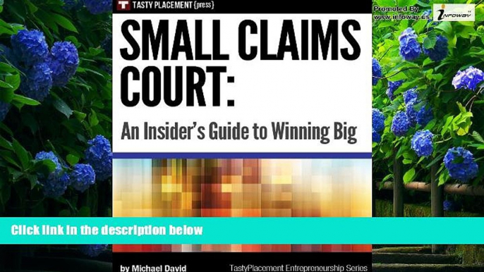 Big Deals  Small Claims Court: an Insider s Guide to Winning Big  Full Ebooks Most Wanted