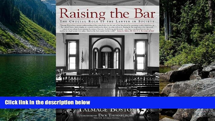 Big Deals  Raising the Bar: The Crucial Role of the Lawyer in Society  Best Seller Books Most Wanted