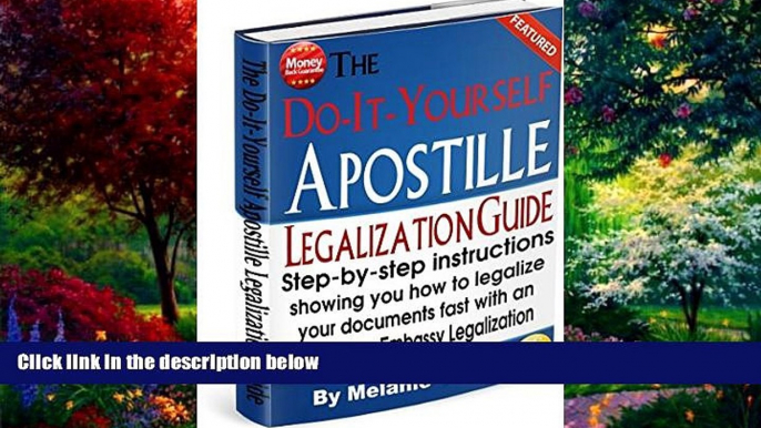 Big Deals  The Do-It-Yourself Apostille   Legalization Guide: Step-by-step instructions showing