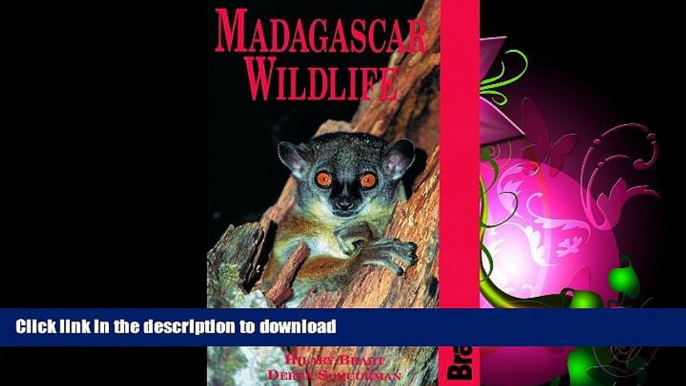 EBOOK ONLINE  Madagascar Wildlife (Bradt Guides)  GET PDF