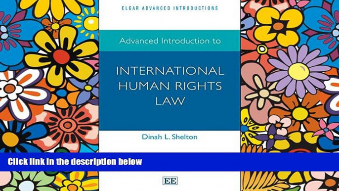 Must Have  Advanced Introduction to International Human Rights Law (Elgar Advanced Introductions